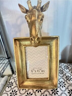 Giraffe resin picture frame